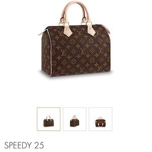 Louis Vuitton Speedy 25